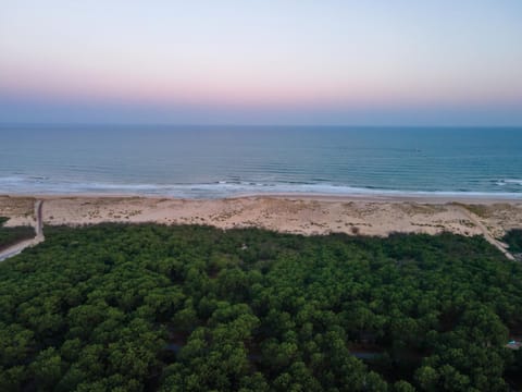 Natural landscape, Beach