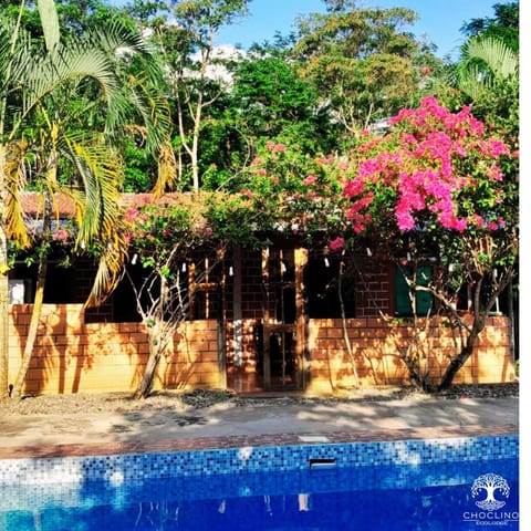 Spring, Day, Garden, Garden view, Pool view, Swimming pool