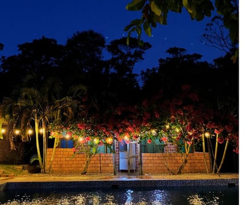 Night, Garden, Garden view, Pool view, Swimming pool