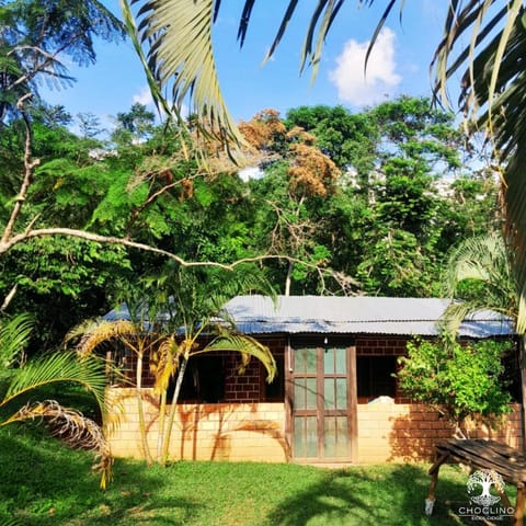 Property building, Spring, Day, Natural landscape, Garden, Garden view