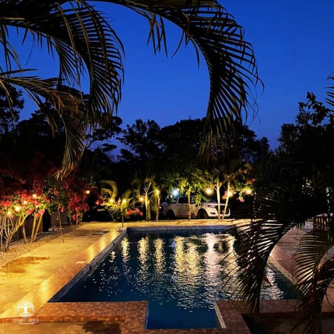 Night, Natural landscape, Garden, Garden view, Pool view, Swimming pool