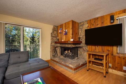 TV and multimedia, Living room, fireplace