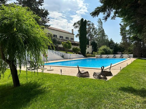 Property building, Natural landscape, Summer, Garden, View (from property/room), Swimming pool, sunbed