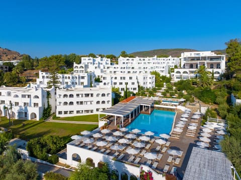 Property building, Bird's eye view, View (from property/room), Swimming pool