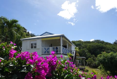 Property building, Garden, Garden view