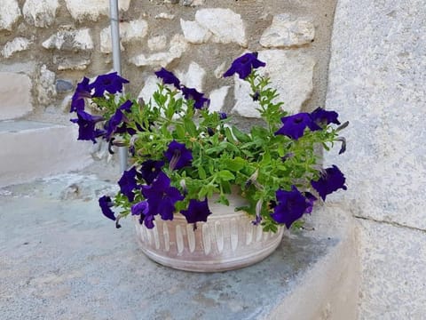 MARIA'S Rustic stonehouse in traditional village House in Messenia