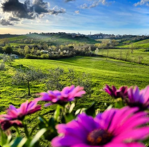 Nearby landmark, Spring, Day, Natural landscape