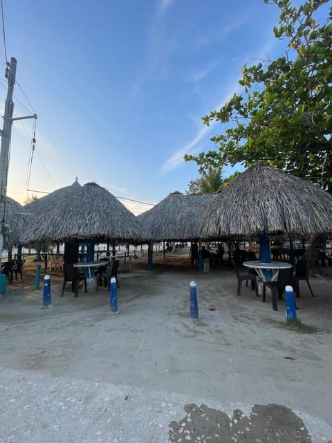 Restaurant/places to eat, Day, Natural landscape, Beach