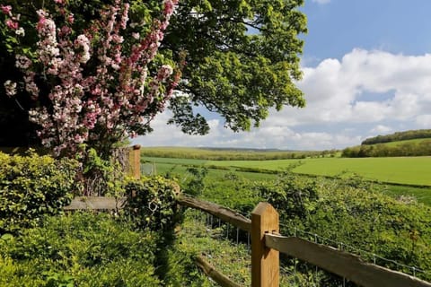 Stunning Cottage in South Downs National Park House in Arun District