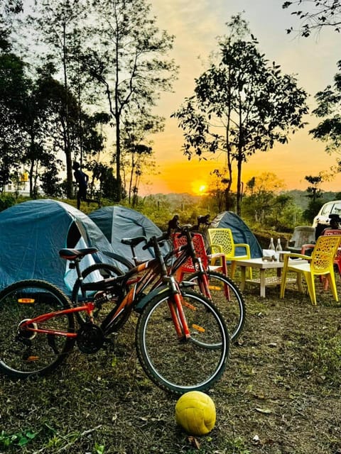 Natural landscape, Cycling, Sunset