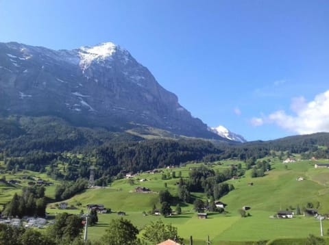 Luna 2 Bett Wohnung Obj 2000 Apartment in Grindelwald