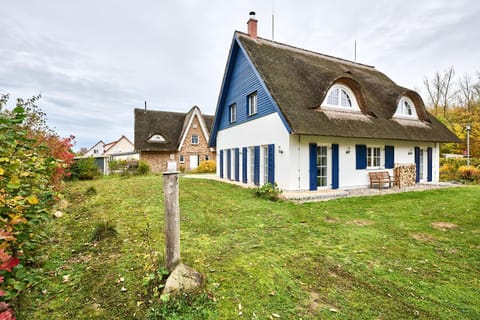 Property building, Autumn, Garden view