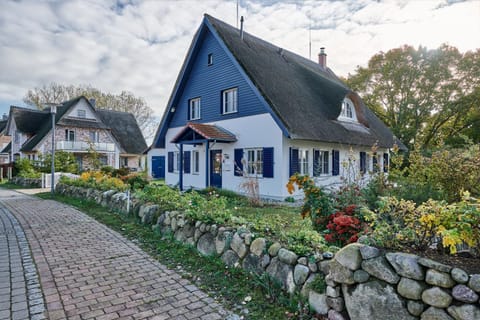 Property building, Garden, Autumn, Garden view