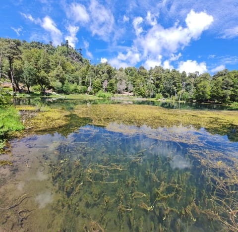 Nearby landmark, Spring, Natural landscape, View (from property/room)