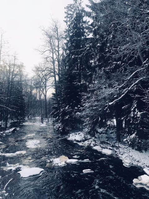 Natural landscape, Winter, Hiking, Hiking