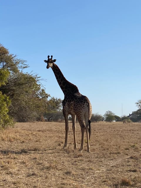 Luna Crescente 19 and 19A Zebula golf and spa resort 14 Pax Bela Bela Limpopo Villa in South Africa