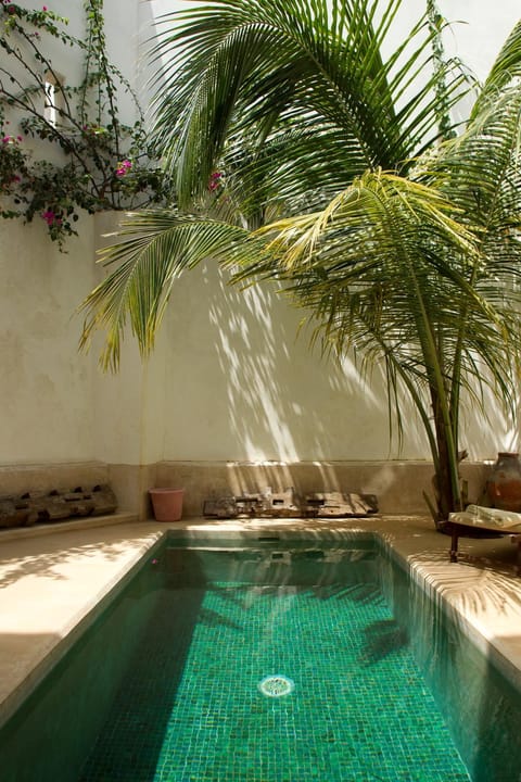 Authentic Swahili style villa Milele House Villa in Lamu