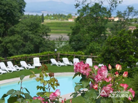 Spring, Garden, Pool view, Swimming pool, sunbed