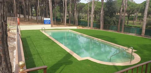 Day, Garden, Garden view, Pool view, Swimming pool