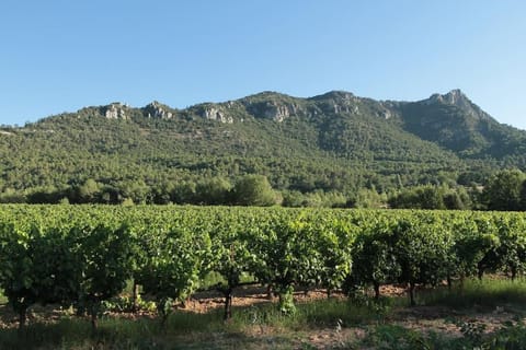 Villa Cinsault, un bijou pour votre séjour en Provence Verte Villa in Brignoles