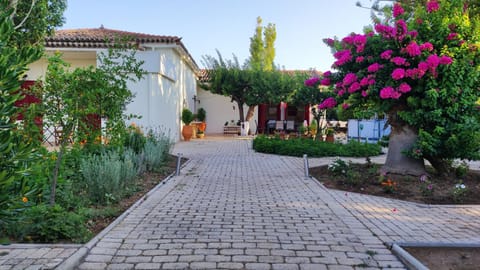 Mediterranean house with beautiful garden Villa in Samos Prefecture