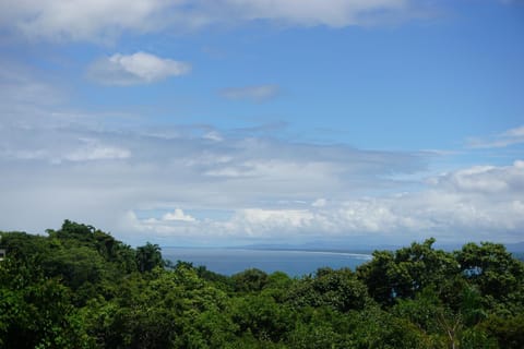 Garden view, Sea view