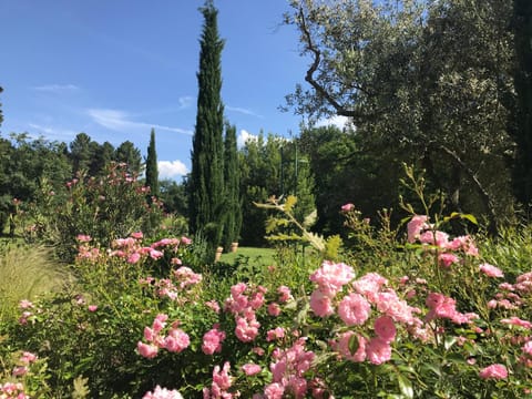 Natural landscape, Garden, Garden view