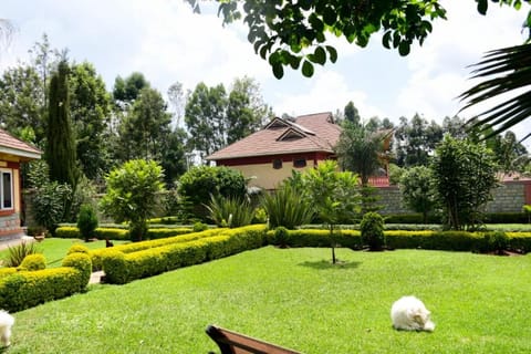 Lux Suites Elgon view Holiday House Copropriété in Kenya