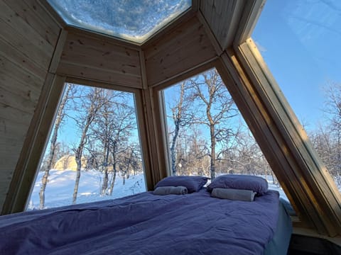 Bed, Natural landscape, Winter, Photo of the whole room