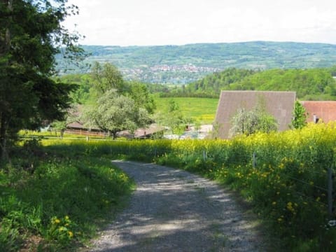 Pferde - und Eselhof Grünegg Apartment in Schaffhausen, Switzerland