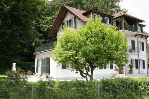 Property building, Garden view
