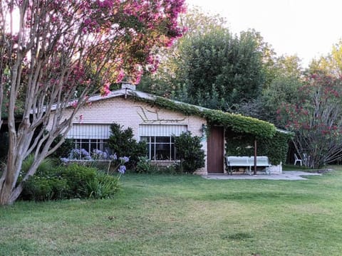 Property building, Garden, Garden view