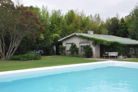 Property building, Garden, Garden view, Pool view, Swimming pool