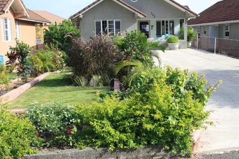 Property building, Garden view