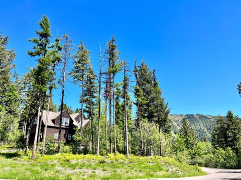 Brown Bear Chalet House in Whitefish