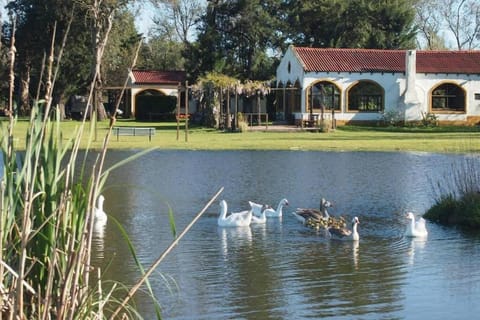 Casa de campo con laguna y piscina House in Luján
