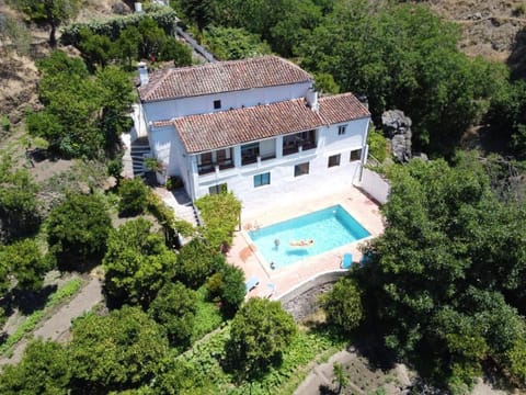Bird's eye view, Swimming pool