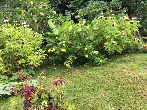 View (from property/room), Garden view, Mountain view