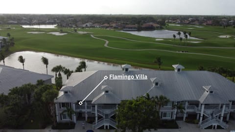 Property building, Neighbourhood, Bird's eye view