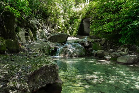 Natural landscape, Garden, River view