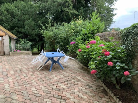 Patio, Garden, Dining area, Garden view