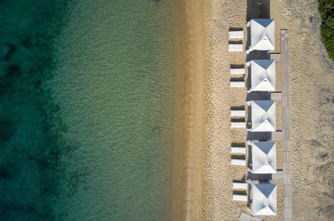 Beach, sunbed