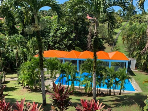 Pool view, Swimming pool