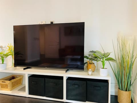 TV and multimedia