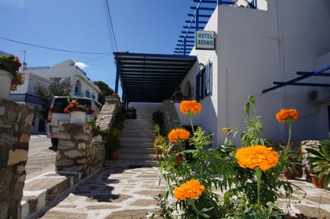 Property building, Facade/entrance, Day, Garden, Garden view