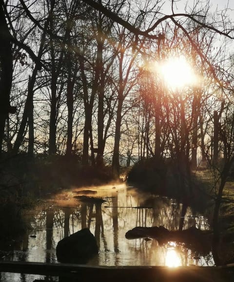 Day, Natural landscape, River view