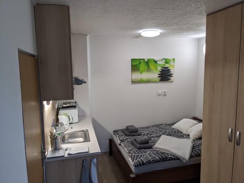 Bed, Kitchen or kitchenette, Photo of the whole room, minibar