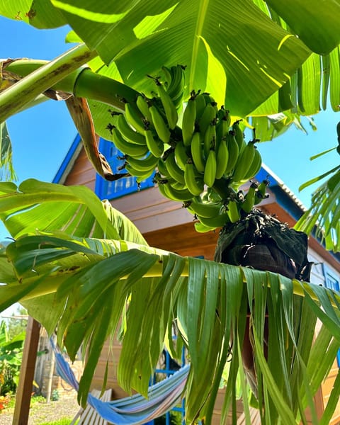 Cabana ecoar Chalet in Balneário Gaivota