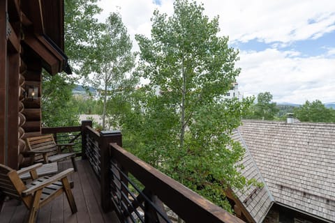 New! Chic European Style Cabin, Short Walk To Ski home House in Telluride