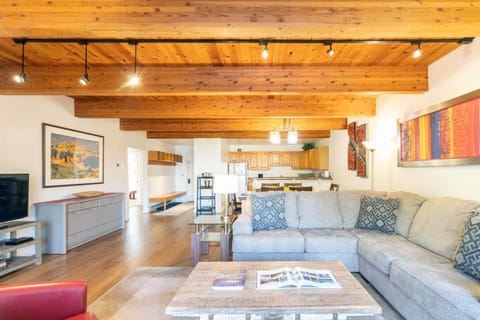 Riverside Dream! Quiet Spot w Deck, 5 Min Walk to Gondola & Main St, condo Apartment in Telluride